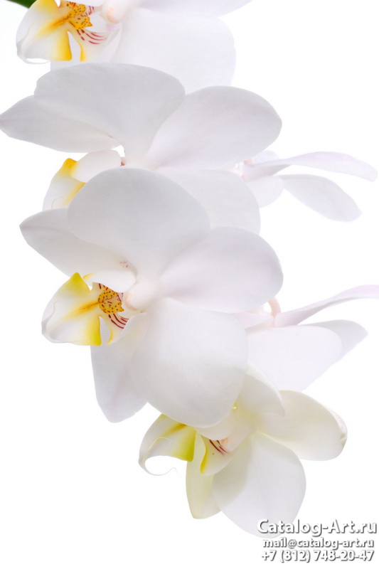 Натяжные потолки с фотопечатью - Белые орхидеи 27